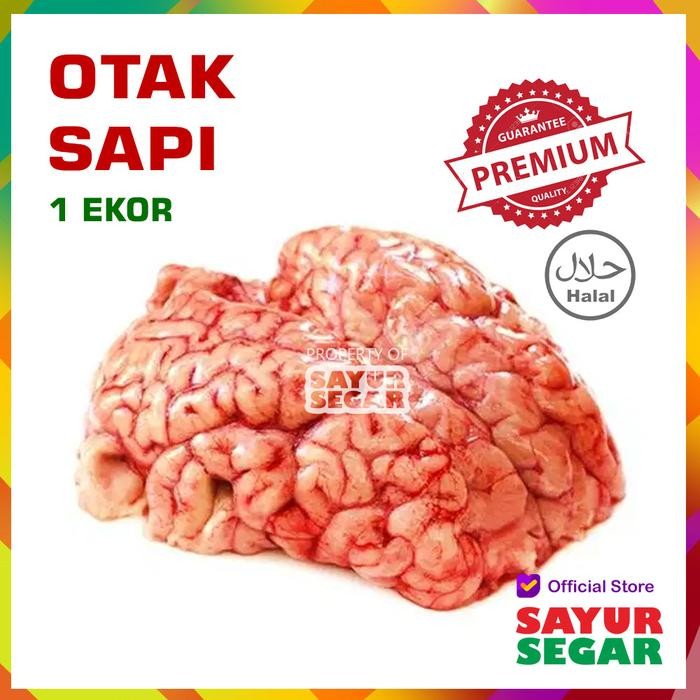 

Kirim,HariYgSama- OTAK SAPI SEGAR [1Pcs] PREMIUM
