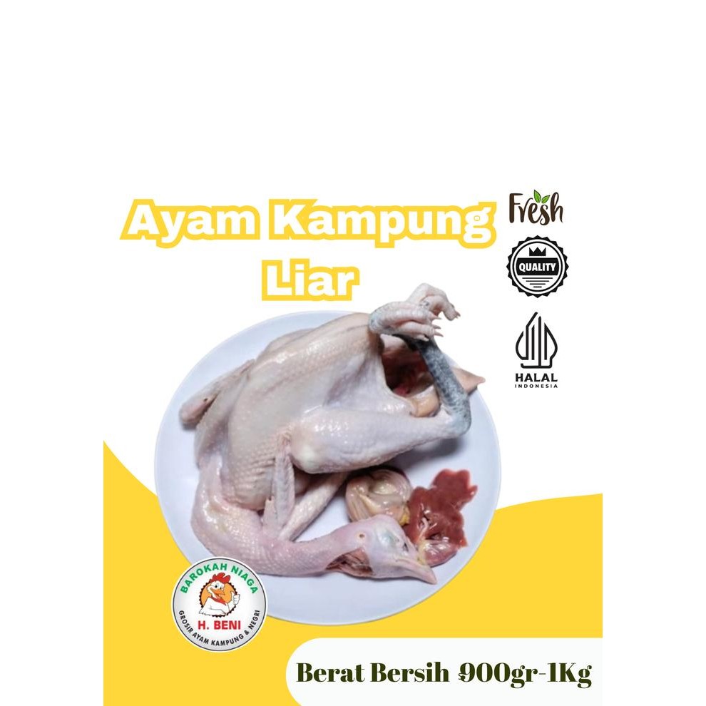 

Kirim,HariYgSama- AYAM KAMPUNG LIAR FREE REQUEST CUTTING BEESIH 900-1KG