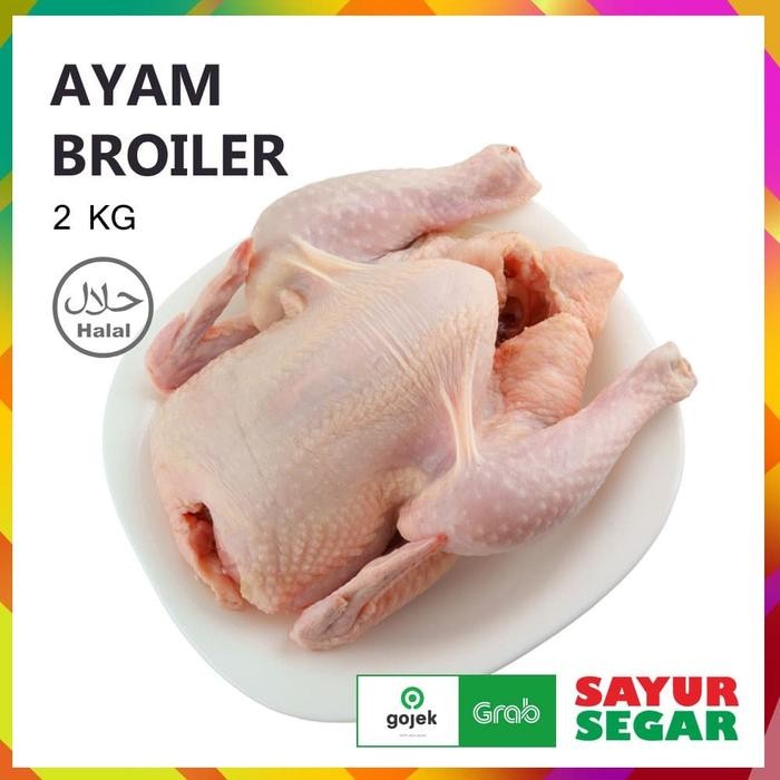 

Kirim,HariYgSama- AYAM BROILER UTUH - FRESH [2 Kg]