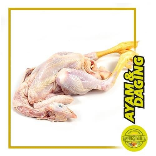 

Kirim,HariYgSama- Ayam Pejantan / ekor
