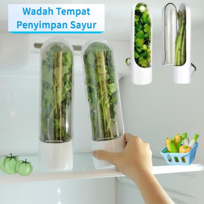 

dah Penyimpanan Daun Sayur HeStorage/ Tempat Daun Sayur Penyimpanan Kulkas/Kemangi Mint Asparagus
