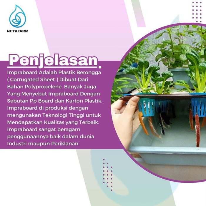 

IMPRABOARD TUTUP BAK BAKI HIDROPONIK 12 LUBANG SISTEM WICK