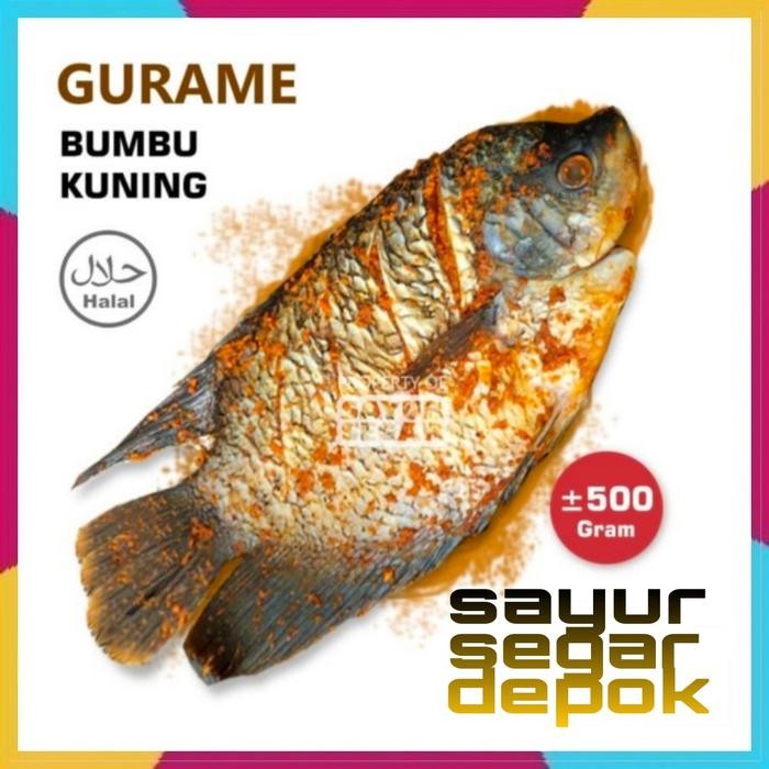 

NewZbgt- IKAN GURAME BUMBU KUNING [SIAP MASAK]