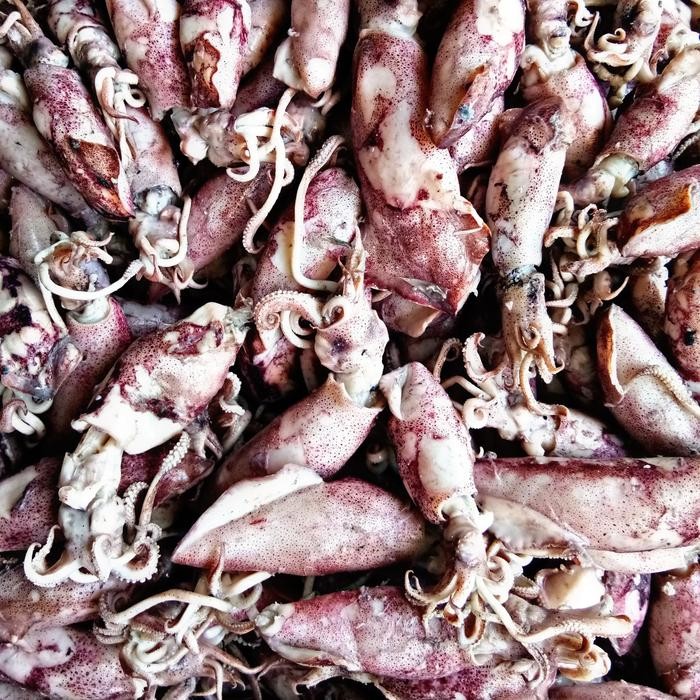 

NewZbgt- Jual Cumi asin bertelur fresh 500gram 50% basah