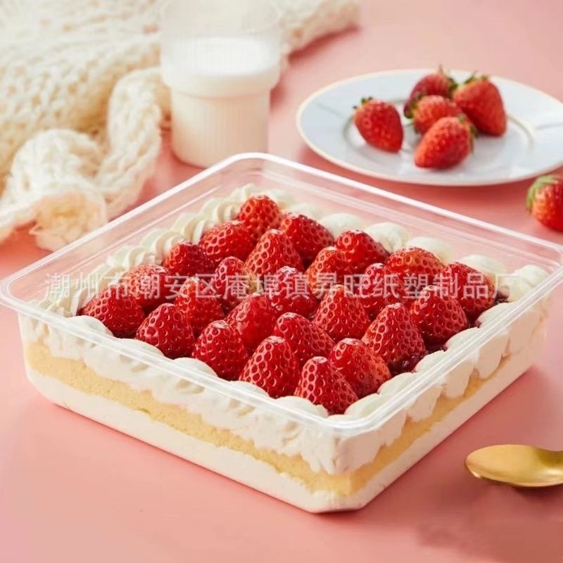10pcs tray mika kue besar 21cm box kotak mika dessert cake mika tiramisu