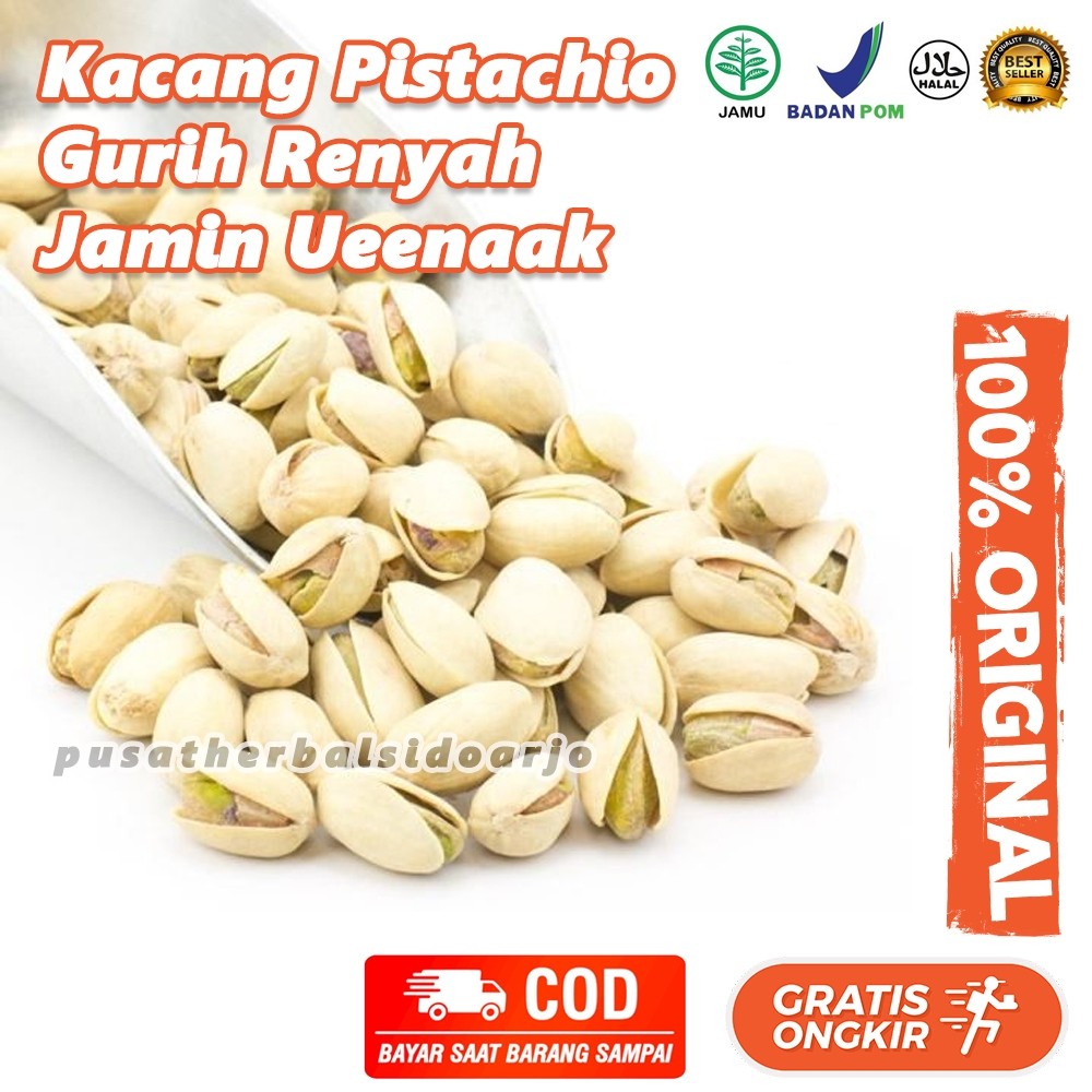 

Dapur Joglo 500Gr Pistachio Roasted Kacang Pistacio 500 Gr Kacang Fustuk Arab Premium Quality
