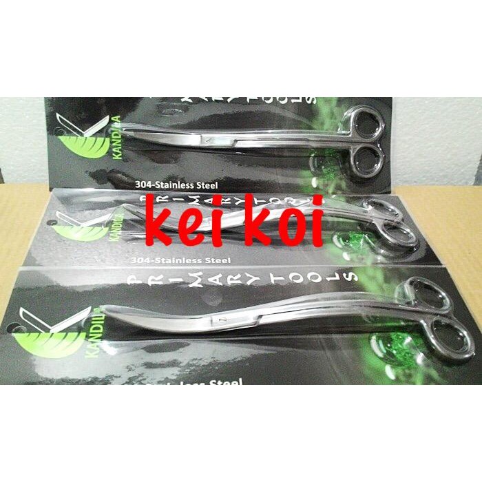 Siap- Gunting Ombak Kandila - Aquascape