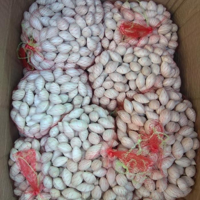 

Ginkgo Nuts/ Peko Kulit Jaring 500Gr