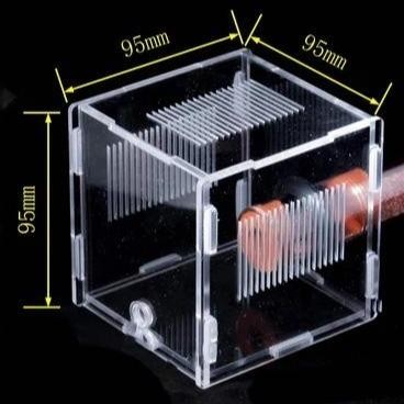 Formicarium testtube gypsum dengan mini outworld, Formicarium akrilik, ants nest, ant, gypsum nest,