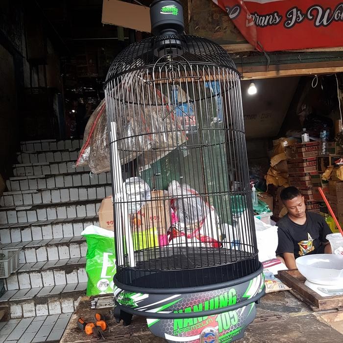 KANDANG LB EBOD PVC DECAL NANJUNG terbaru