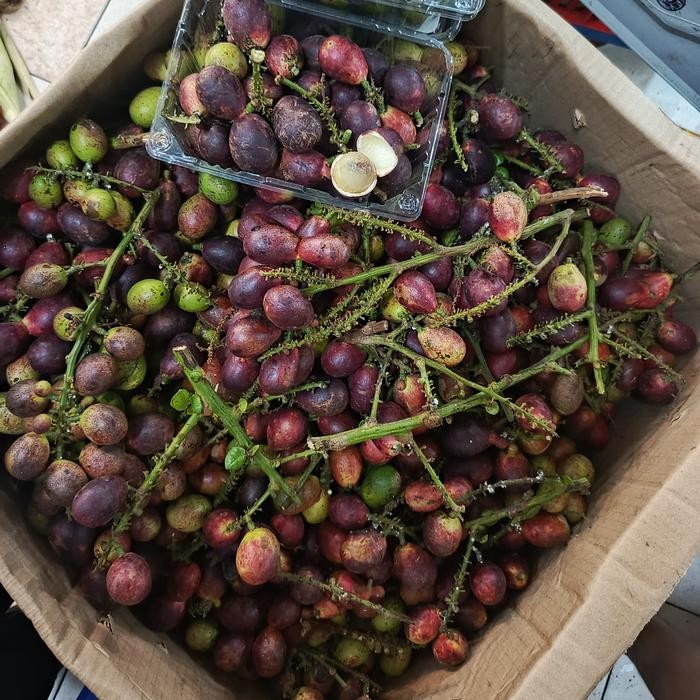 

InstanTanyadulu- Matoa matoa papua buah matoa