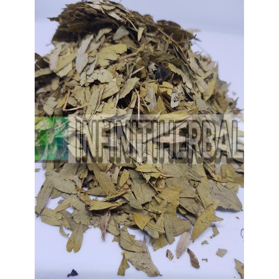 

Daun Senna / Daun Petai CIna *
