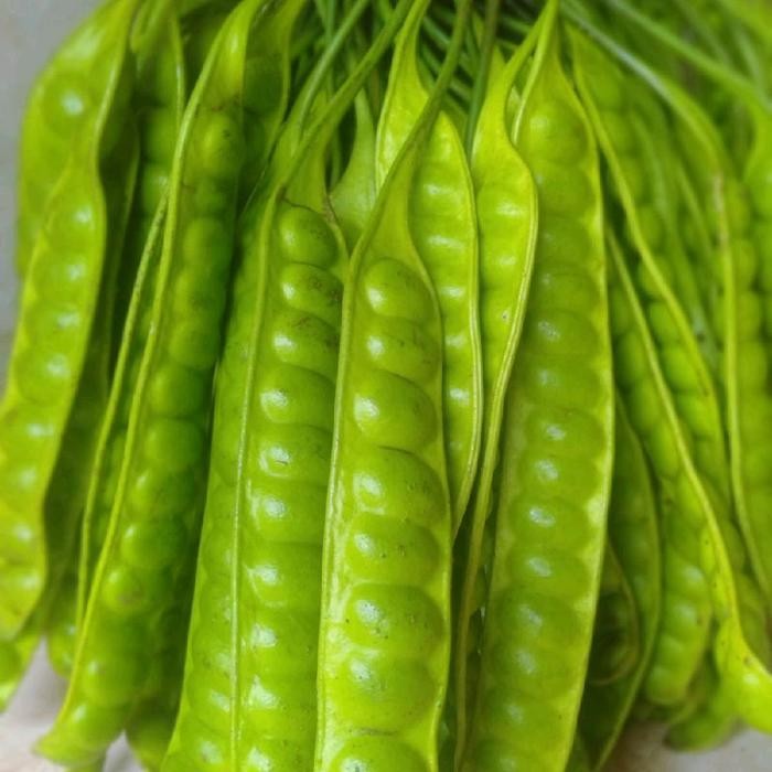 

PETE/PETAI TUA 1 PAPAN LONJOR BARU PETIK *