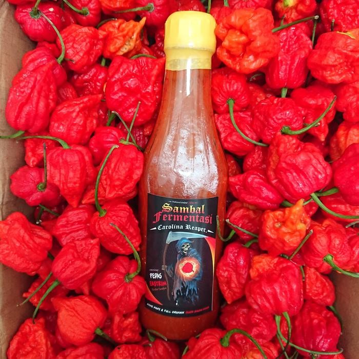 

TodayFre3sH- Sambal Fermentasi Pedas Ekstrim Carolina Reaper