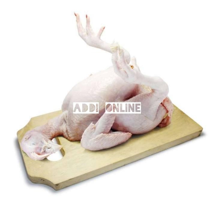 

BeliSkrg,KirimHariini- Ayam Kampung 1 Ekor Segar Fresh