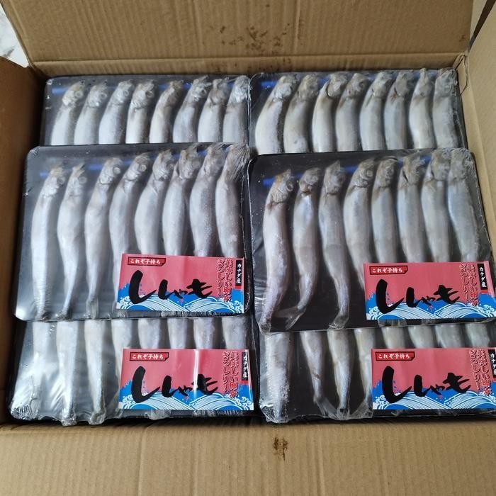 

PastikanDikirimLgsg- Ikan Shisamo / Capelin premium ( Import)