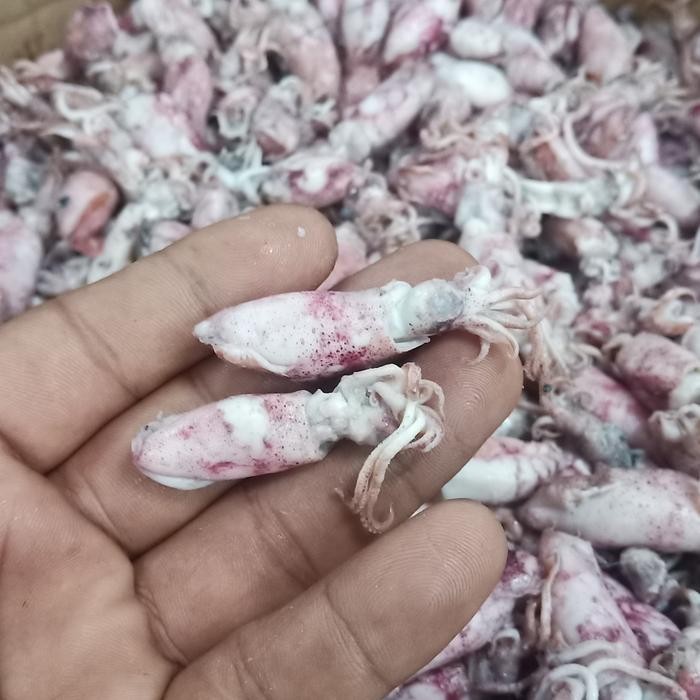 

PastikanDikirimLgsg- ikan asin cumi baby 1kg