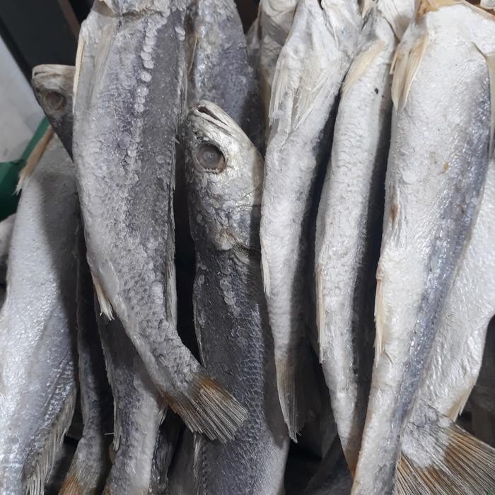 

PastikanDikirimLgsg- Ikan Asin Samge Panjang /Ikan Sangge Panjang