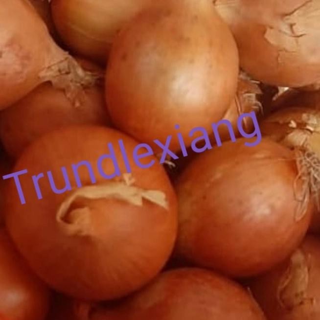 

New bawang bombay 1 kg