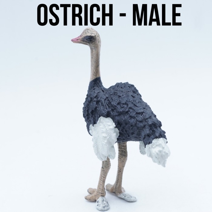 K OSTRICH Male Burung Unta Struthio Canelus Mainan Binatang Miniature Hewan Animal Furine Pajangan