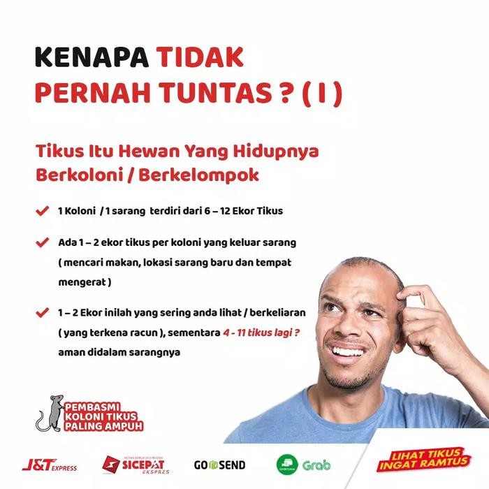 3 Pack Ramtus Racun Tikus Ampuh