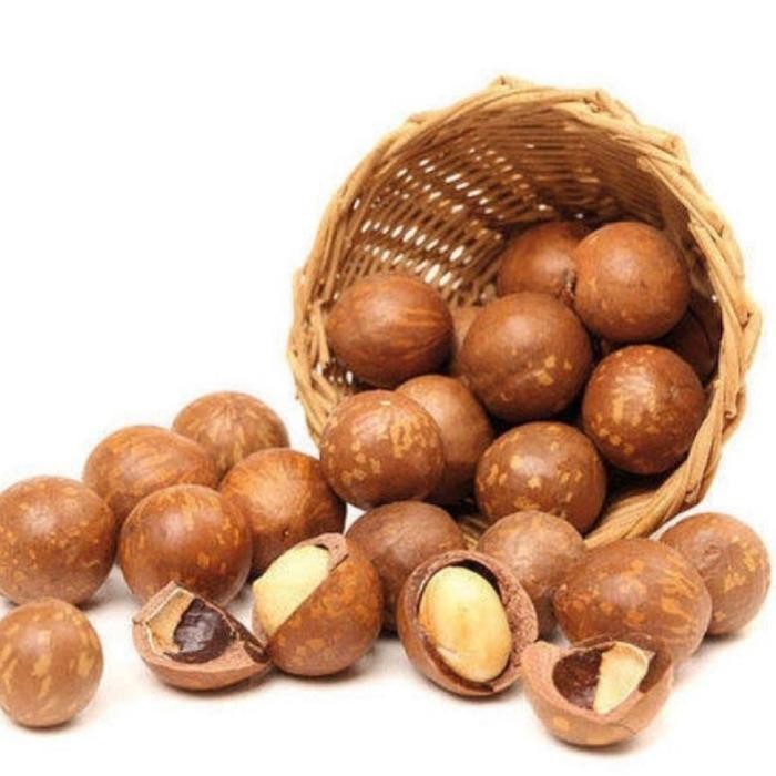 

PastikanTerjaminMutunya- kacang macademia asli Australia berat 500gr