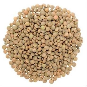 

PastikanTerjaminMutunya- Natural Brown Lentils 1 Kg