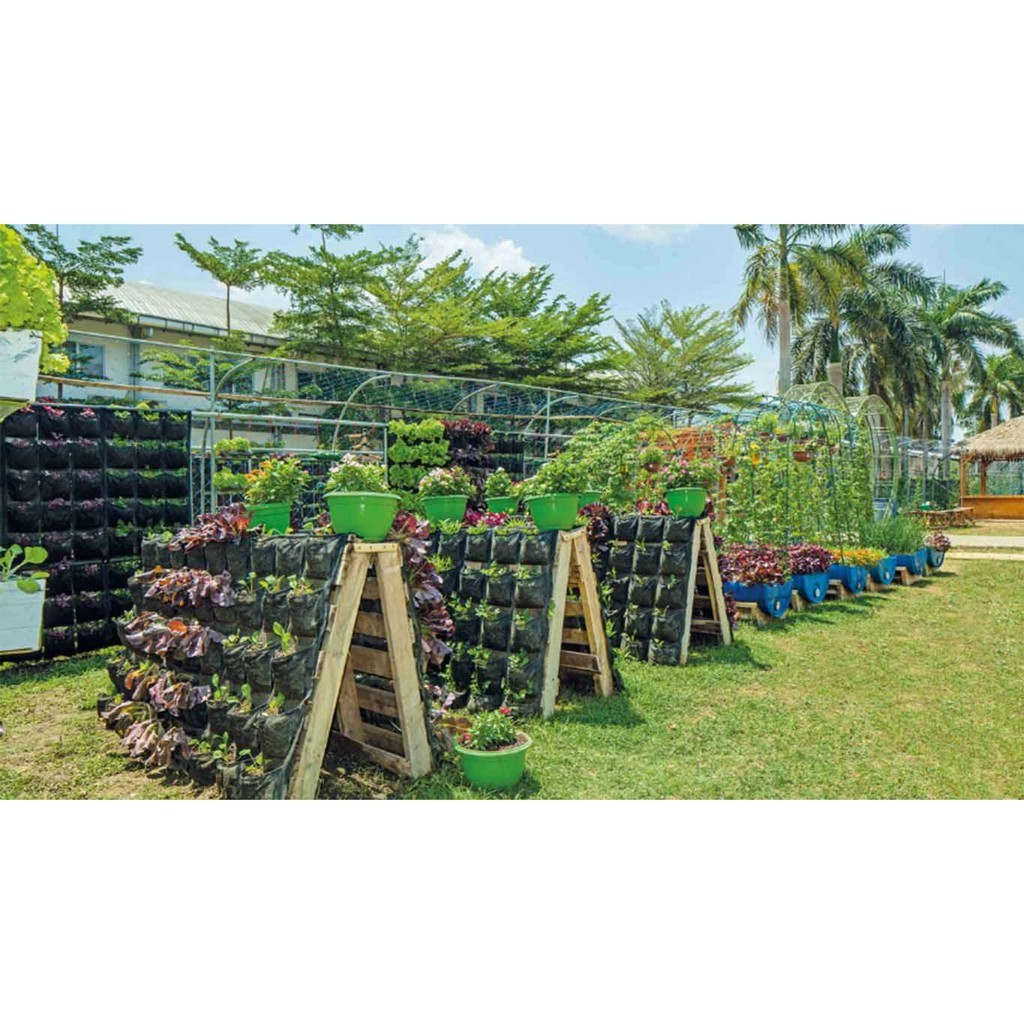 Benih Seribuan - Paket Lengkap 25 Macam Benih Sayur Sayuran Pemula