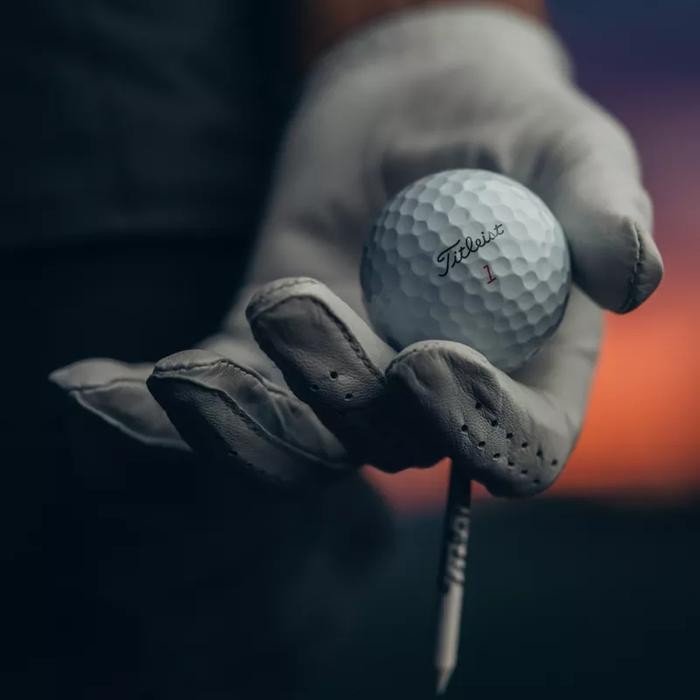 Terbaru JS-976 Bola Golf Ball Titleist Pro V1x PROV1X -