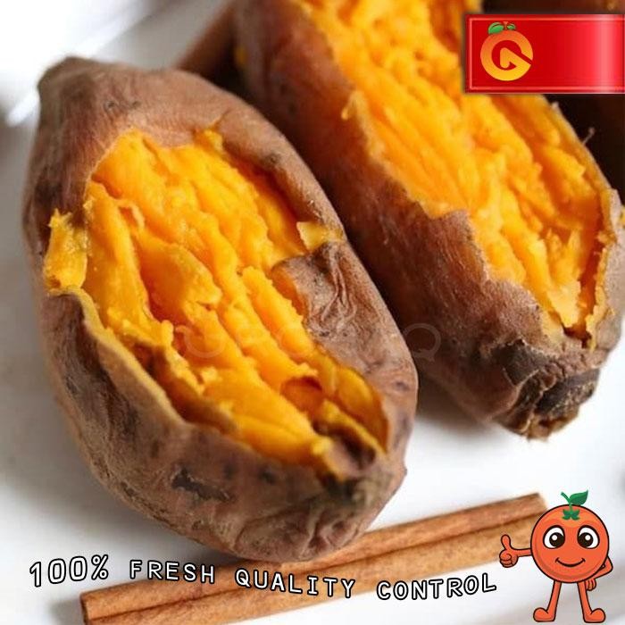 

BnyKBonusBelidiMari- UBI MADU CILEMBU MATANG OVEN 500 Gram