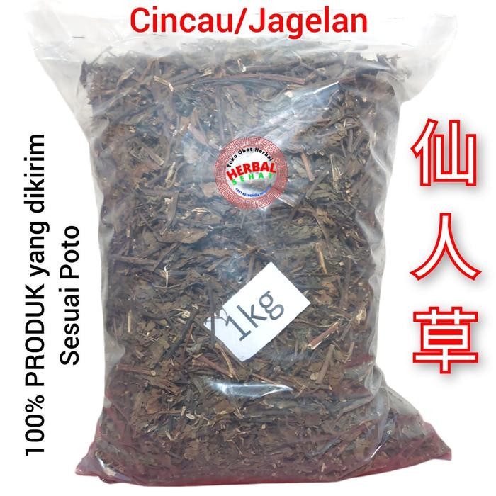 

BnyKBonusBelidiMari- 1kg 1 Kg 1000g Daun Cincau Hitam Kering Lengkong Leng Kong Jagelan