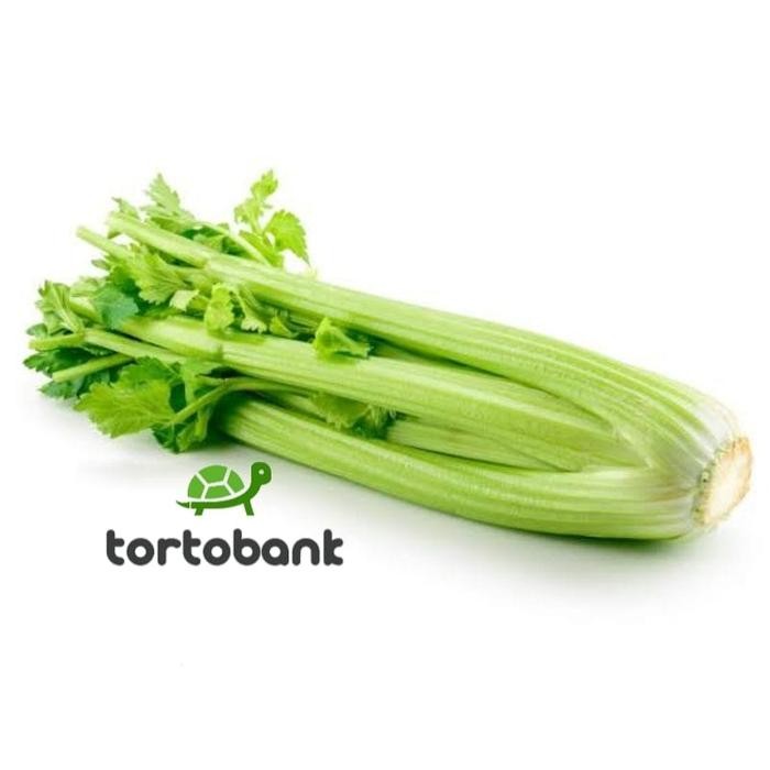 

BnyKBonusBelidiMari- 1 KG PREMIUM CELERY IMPORT CHINA ORGANIC CELERY STICK - SELEDRI IMPOR