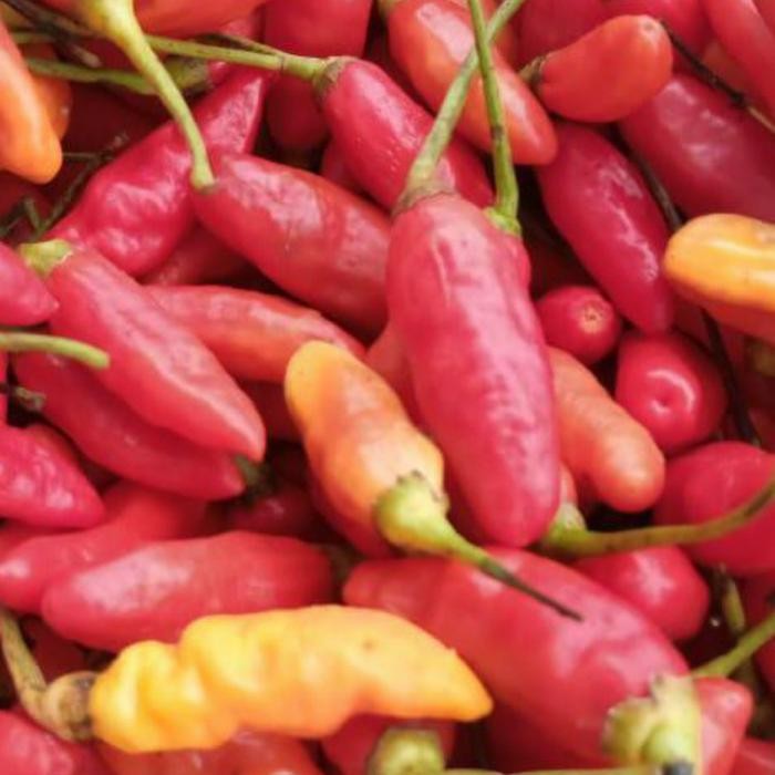 

BnyKBonusBelidiMari- CABE RAWIT MERAH 1 KG
