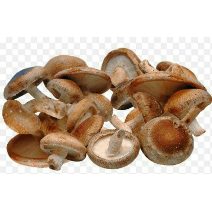 

BnyKBonusBelidiMari- Jamur Shitake Fresh 250gr