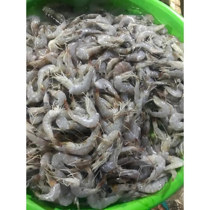 

PastiFreShNya- Jual Promo Murah Udang Peci Kecil 1KG Size 100-125