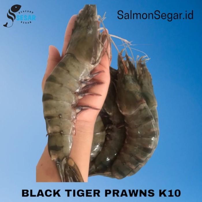 

PastiFreShNya- Black Tiger Prawn 8-10 - Udang Tiger Jumbo (Kualitas Ekspor)