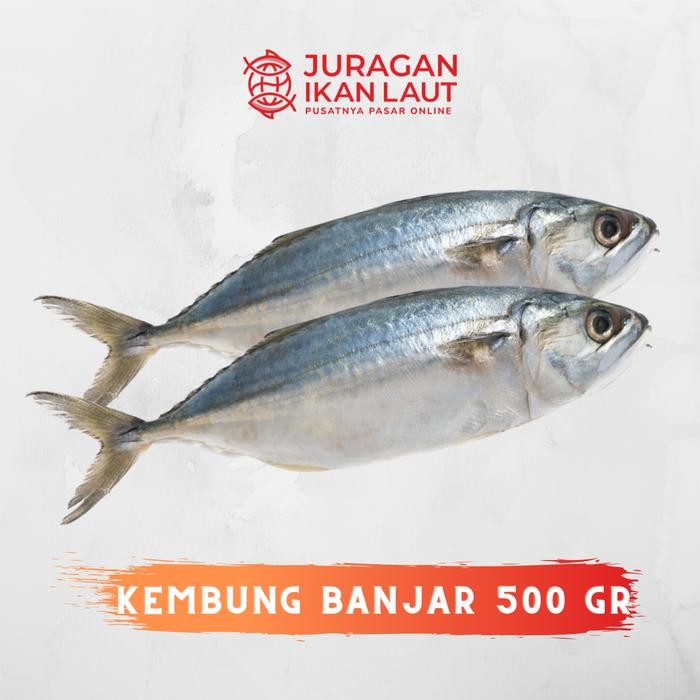 

PastiFreShNya- Ikan Kembung Banjar Segar - 500 Gram