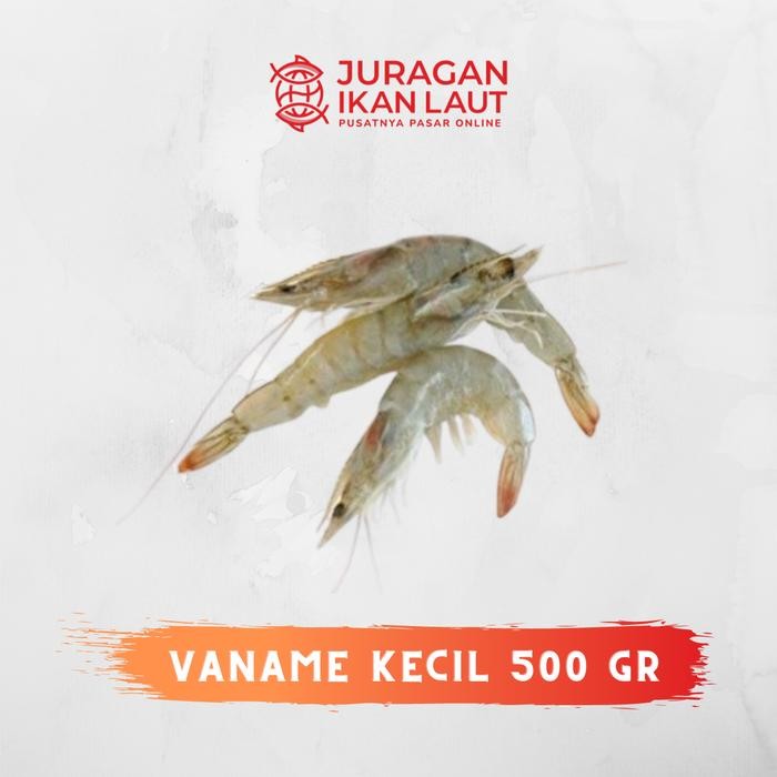 

PastiFreShNya- Udang Vaname Kecil Segar Berkualitas - 500 Gram