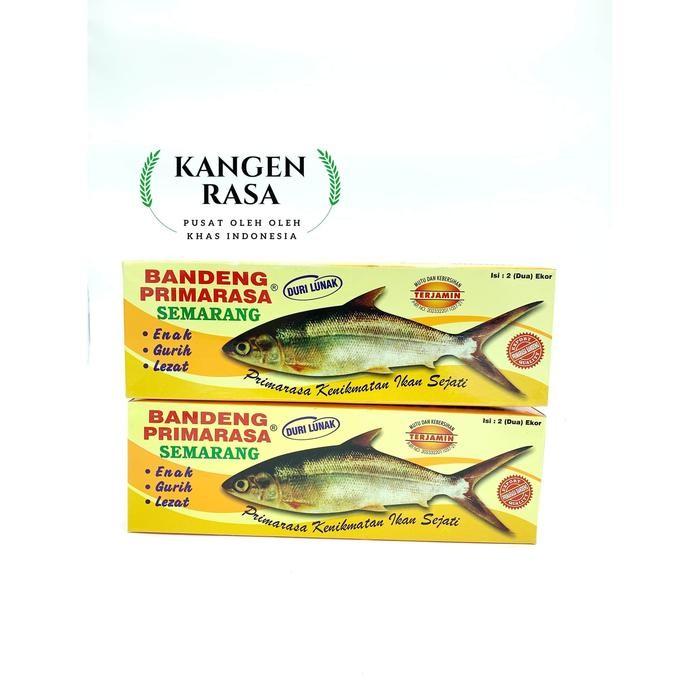 

PastiFreShNya- Bandeng Primarasa Semarang (isi 2 ekor)
