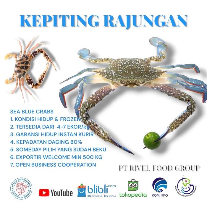 PastiFreShNya- Rajungan Segar 1Kg Kepiting Rajungan Fresh Frozen 1kg