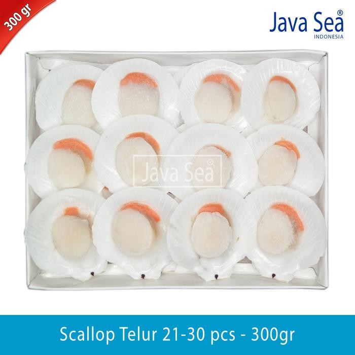 

PastiFreShNya- Scallop Cangkang Telur 21-30 pcs pack 300gr Java Sea