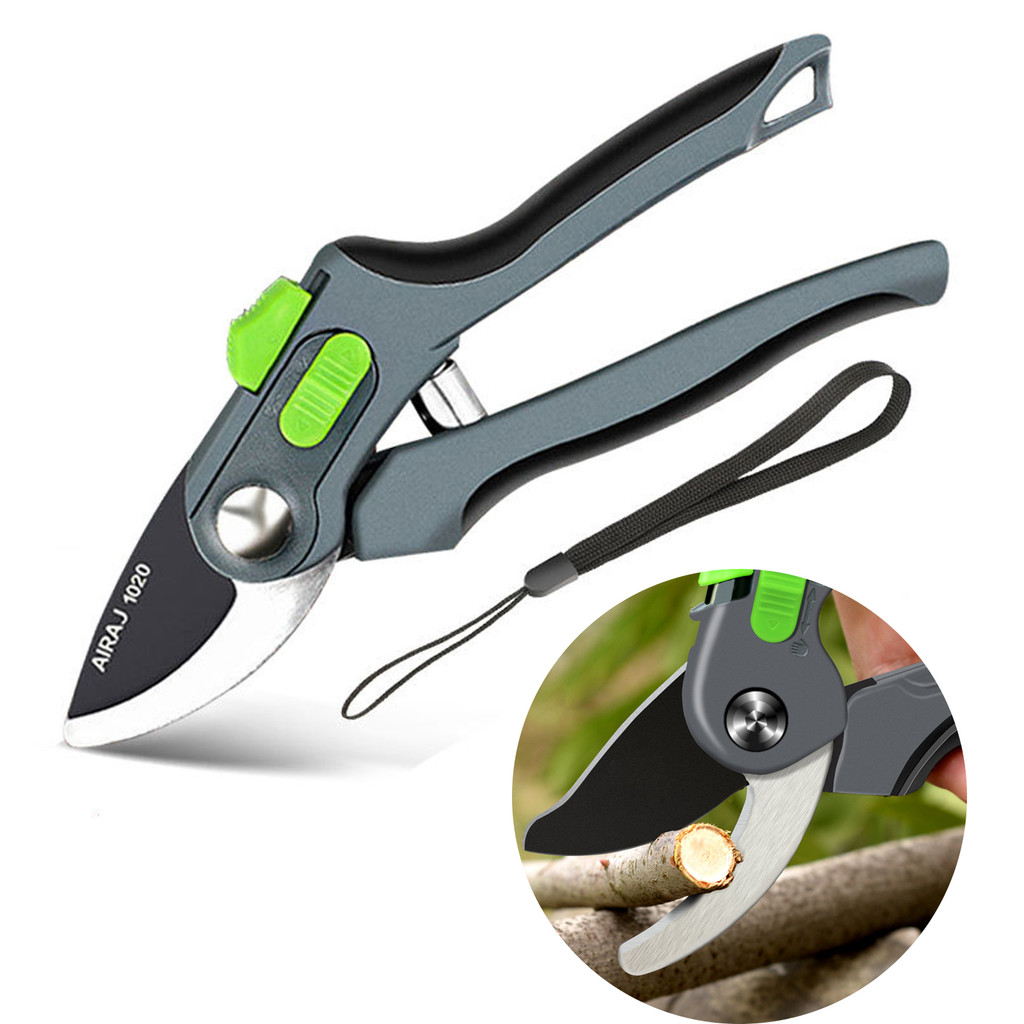 Pruning Plants Pruning Plant Garden Shortbone Shear Portrait Pruning