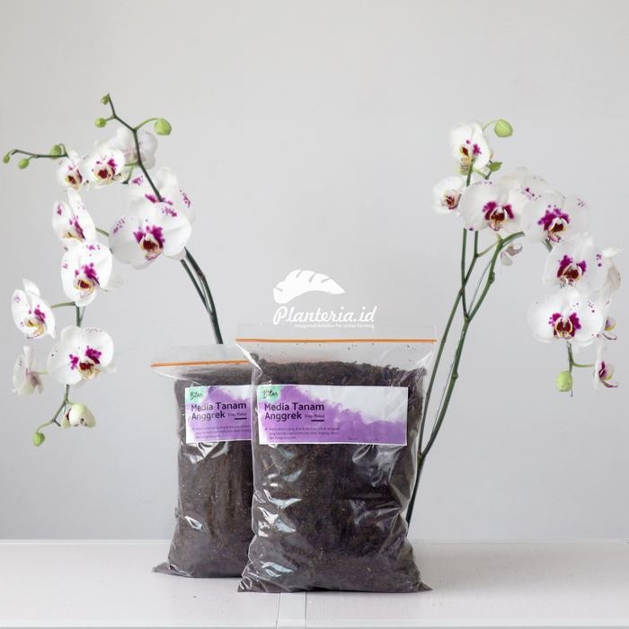 New Media Tanam Anggrek Dendrobium Media Tanam Anggrek Organik Siap Pakai
