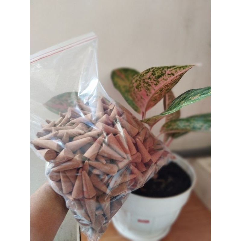 DUPA KERUCUT DUPA TUMPENG WANGI AROMA CENDANA