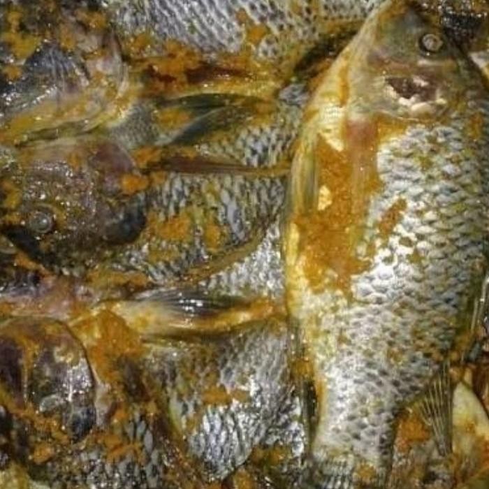 

ikan Mujair Bumbu Kuning Siap Masak - 1 Kilogram