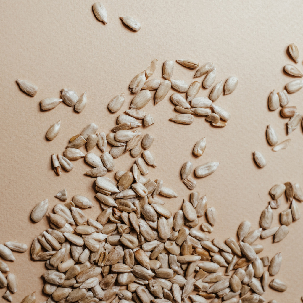 

Sunflower Seed 500 gr Nowhealth Kuaci Biji Bunga Matahari Kupas Organik