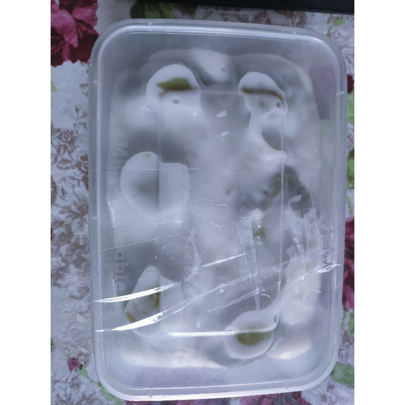 

Bugis mandi isi 6 kue