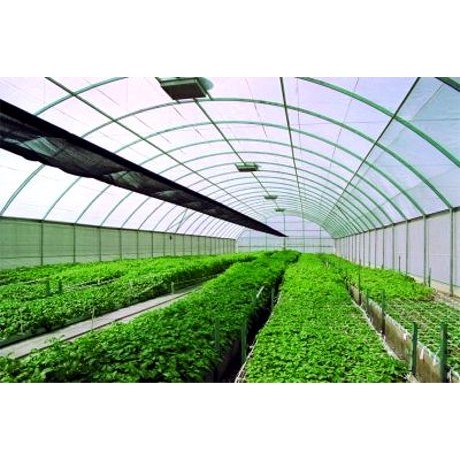 Baru Plastik Uv 200 Micron Green House/Hidroponik