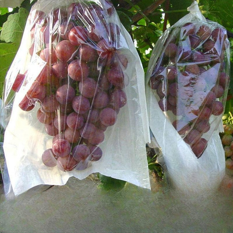 Baru Fruit Cover Transparan/Pembungkus Buah Tembus Pandang Fruit Cover Anggur Transparan Waterproof