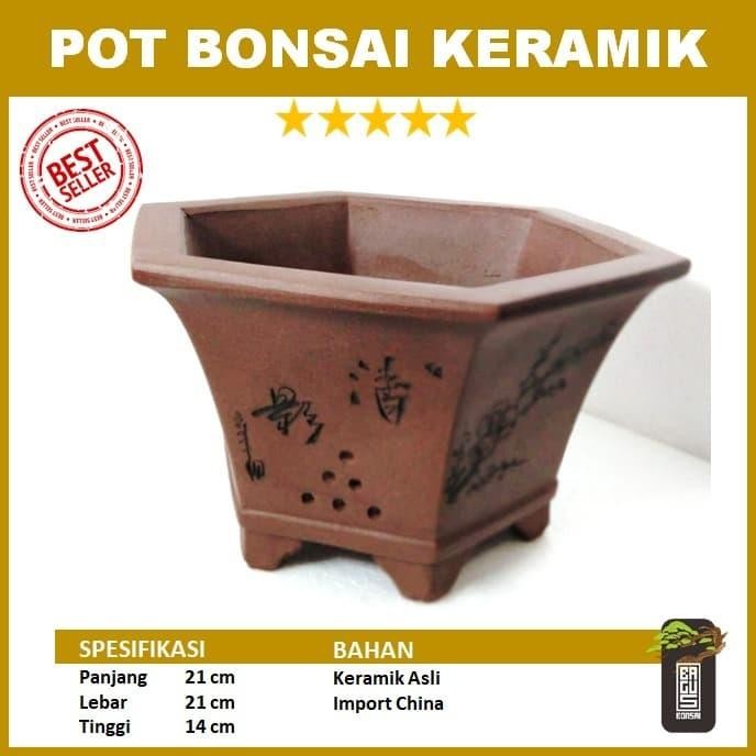 PREMIUM POT BONSAI KERAMIK _Panjang segi enam normal (@Bonsai Bagus)